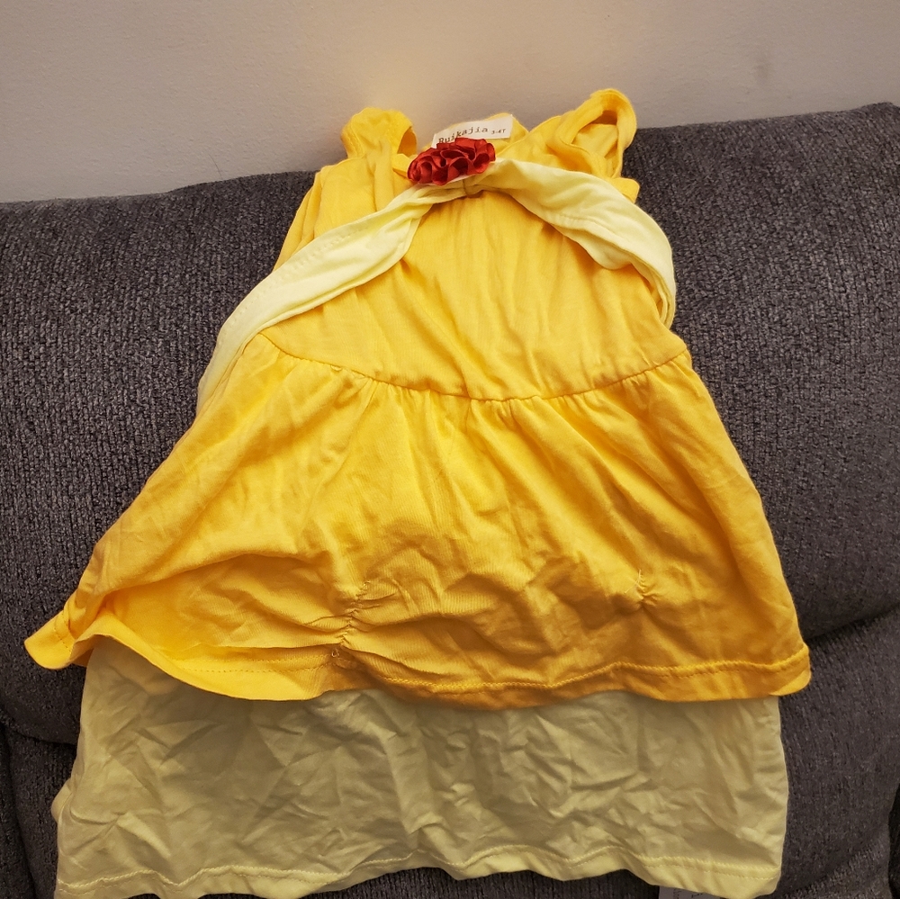 Princess Belle Dress